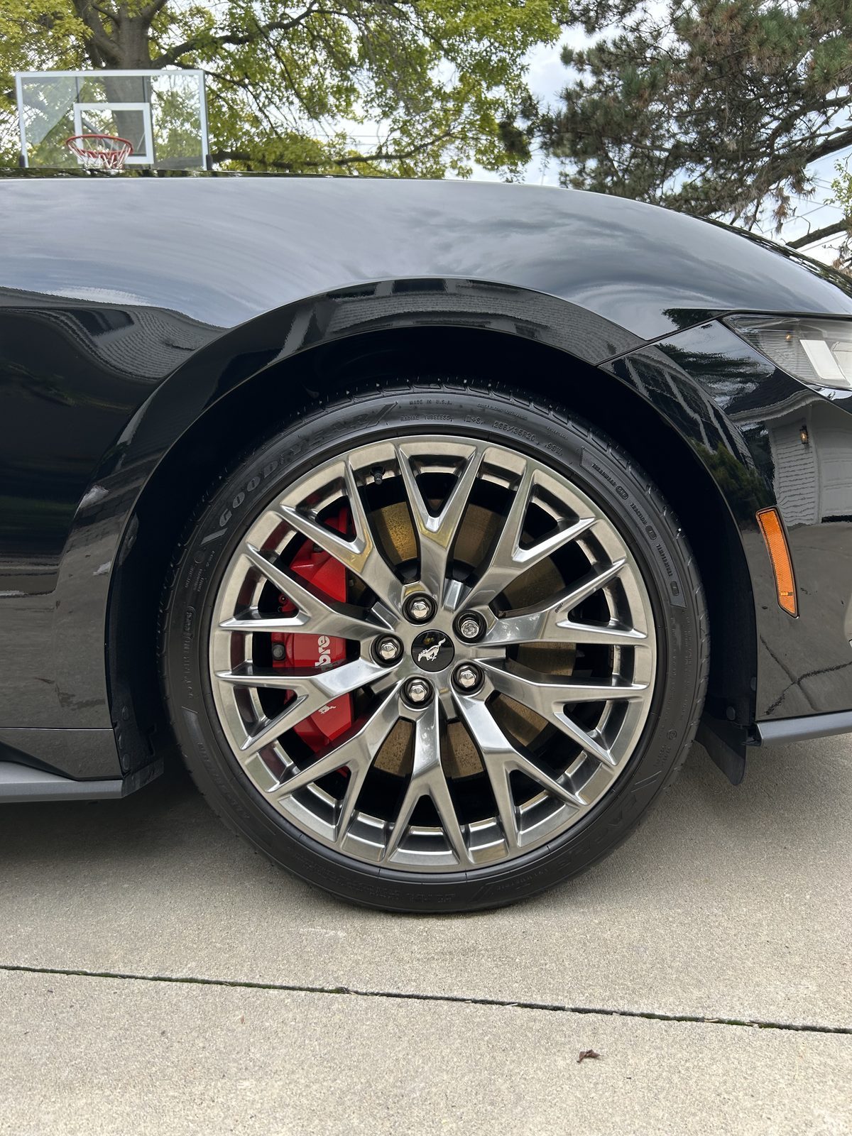 Mercedes AMG after professional detailing